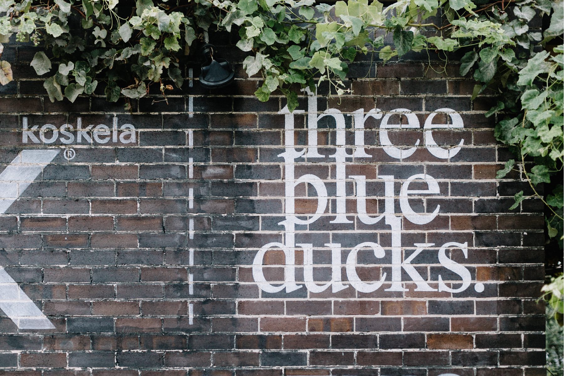 three blue ducks wedding by nattnee photography